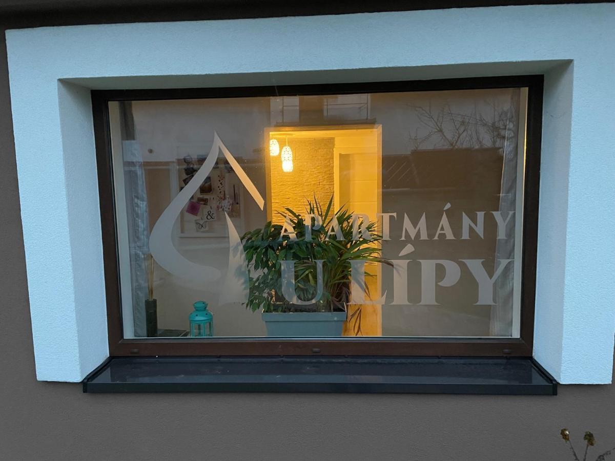 Apartmany U Lipy Tatobity Extérieur photo